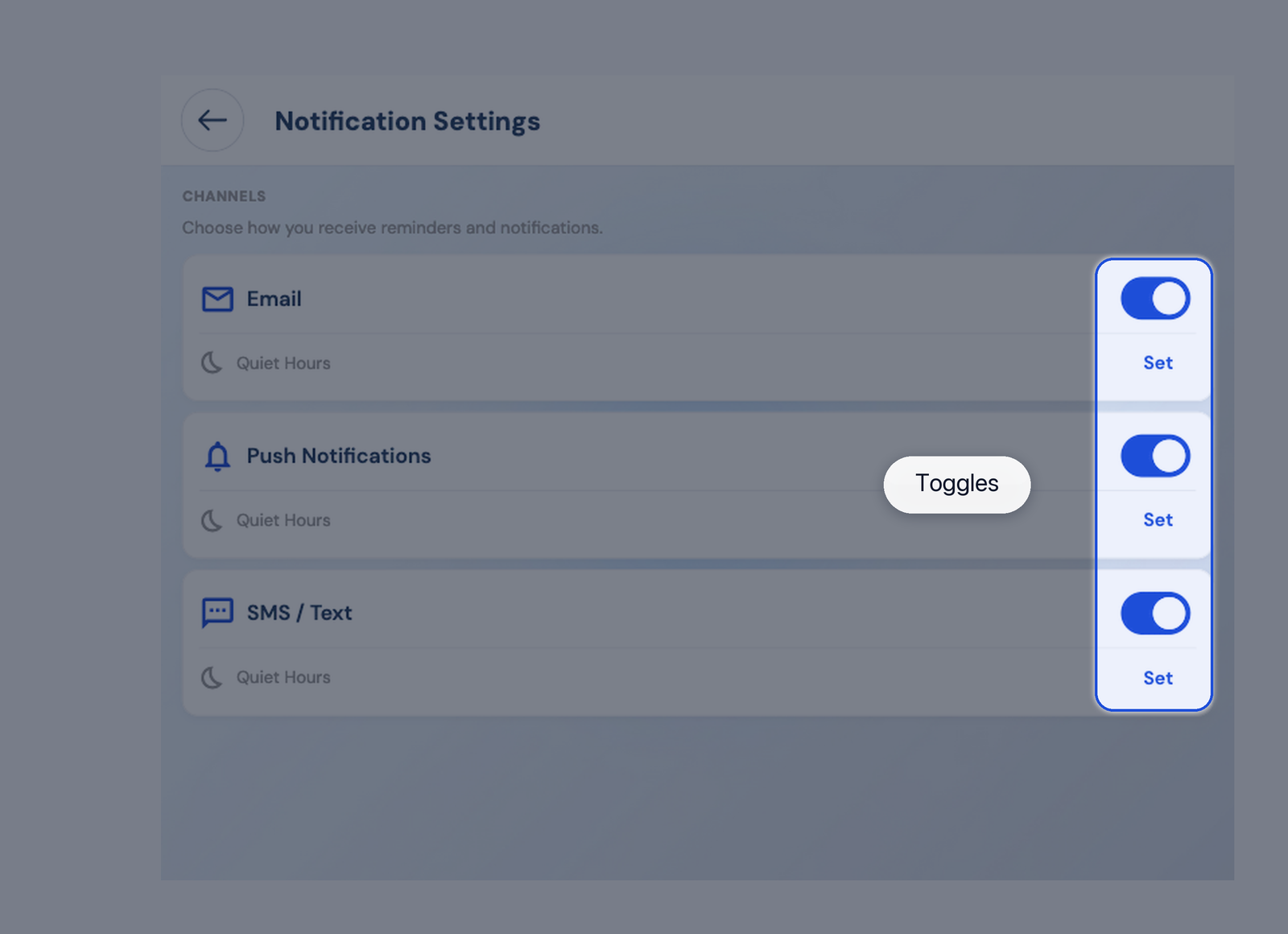 Notification channel toggles